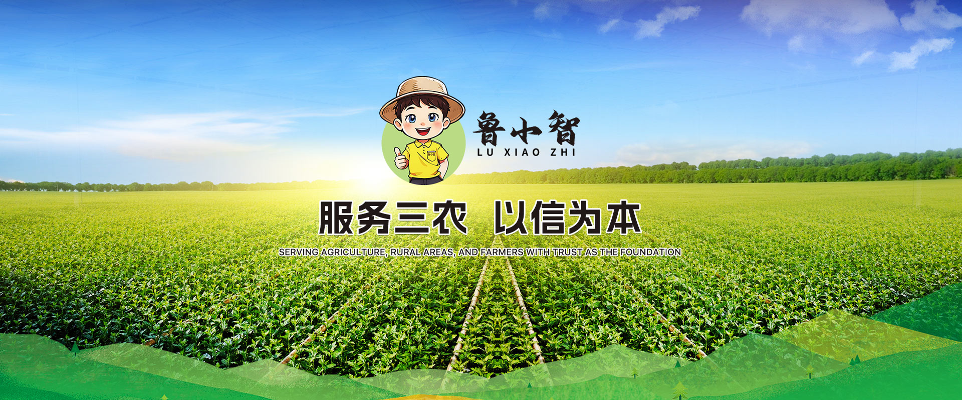 首頁(yè)輪播3